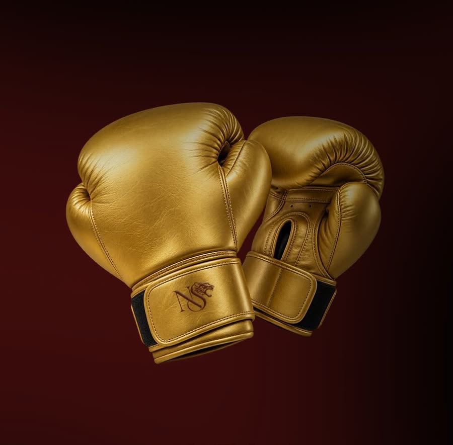 N&S logolu altın boks eldivenleri